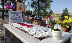 Diyarbakır'da "suçluyu kayırma" suçuyla yargılanan 15 sanık hâkim karşısında