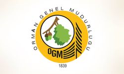 Orman Genel Müdürlüğü 69 işçi alacak