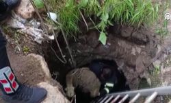 Diyarbakır'da su kuyusuna düşen koyun kurtarıldı