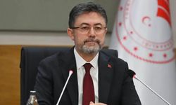 Sağlığa zararlı 40 ton ürünün satışı engellendi