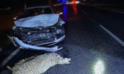 Siverek'te otomobil koyun sürüsüne çarptı: 3 kişi yaralandı