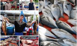 Sezon sonu geldi, balık tezgahlarda kaldı