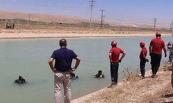Şanlıurfa'da otomobil sulama kanalına düştü