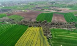 Diyarbakır'daki tapu sorunlarına çözüm umudu