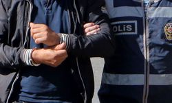 Şanlıurfa'da büyükbaş hayvan hırsızlığı yaptığı iddia edilen şüpheli yakalandı