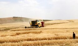 Diyarbakır’daki çiftçilere tarımsal destek ödemeleri başladı