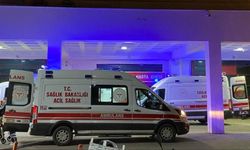 Ağabeyi tarafından vurulan kişi hayatını kaybetti