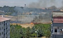 Diyarbakır'da anız yangını