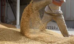 Bitkisel yağ ihracatı zirveye oturdu