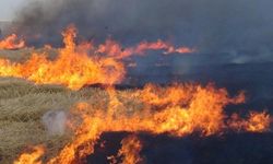 Diyarbakır'da anız yangınlarıyla mücadele ekipleri oluşturuldu