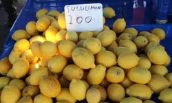 Diyarbakır'da limon artık kiloyla değil taneyle satılıyor