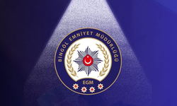 Bingöl’de 19 bin 344 kök kenevir bitkisi ele geçirildi