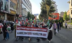 Bingöl’de “MARCH TO GAZA” yürüyüşü