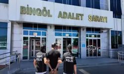 Bingöl’de uyuşturucu operasyonu: 1 kişi tutuklandı