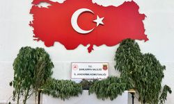 Şanlıurfa'da ruhsatsız silahlar ele geçirildi