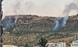 Mardin'de orman yangını