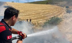 Siirt OSB'de çıkan yangında 60 dönümlük alan kül oldu