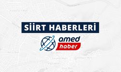 Kurtalan'da devrilen otomobildeki 2 kişi yaralandı