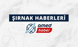 Şırnak'ta 4 köyde muhtarlık ofisi yapıldı