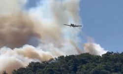 Yangın söndürme uçağı düştü: 2 pilot yaralı