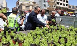 Midyat'ta vatandaşlara fesleğen ve reyhan çiçeği dağıtıldı