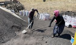 Çalışanları aşırı sıcaklara karşı koruyacak düzenlemeler yayılıyor