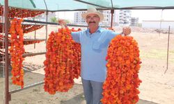 Kurutmalık sebzede sezon başladı