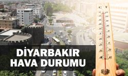 Diyarbakır'da sıcaklıklar yükseliyor, yağış etkisini sürdürüyor