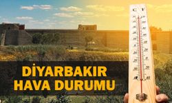 Diyarbakır'da kavurucu sıcaklar sürüyor: Hafta sonu serinleyecek