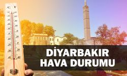 Diyarbakır'da kavurucu sıcaklar etkisini artırıyor