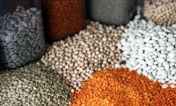 Güneydoğu'nun Afrika ülkelerine hububat ihracatı yüzde 32,9 arttı