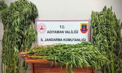 Adıyaman'daki operasyonda 9 kişi gözaltına alındı