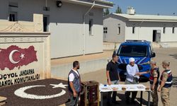 Mardin'deki çelik kasa hırsızlığından 2 kişi tutuklandı