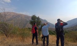 Siirt'te kaybolan kişiyi bulmak için arama çalışması başlatıldı