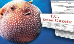 Balon balığı avcılığına yeni destek...
