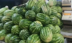 Karpuzda üretici-market farkı yüzde 613,8