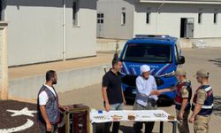 Mardin’de 3 milyon TL’lik aile soygunu: Kasa gübre altında bulundu
