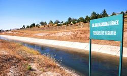 Şanlıurfa'da sulama kanalında erkek cenazesi bulundu