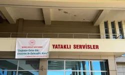 Diyarbakır'da “Dünya Emzirme Haftası” etkinlikleri gerçekleştirildi