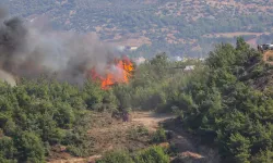 Hatay'da orman yangını