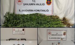 Şanlıurfa’da jandarmadan narkotik operasyonu