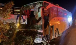 Yolcu otobüsü refüjdeki ağaçlara çarptı: 1 ölü, 13 yaralı