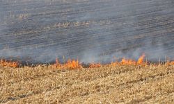 Silvan'da anız yangını: Onlarca dönüm alan kül oldu