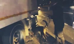 Van'da 113 kilogram narkotik madde ele geçirildi