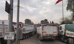 Akçakale Gümrük Kapısı’nda tırlar günlerdir bekliyor
