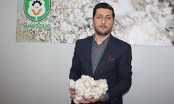 Batman’da pamukta rekor verim: Çiftçi destek artışı bekliyor