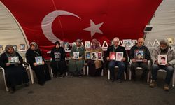 Diyarbakır anneleri evlatlarına kavuşmak istiyor