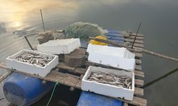 Diyarbakır'da baraj gölünde kaçak balık avcılığına yönelik denetim yapıldı