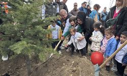 Elazığ, Şırnak ve Bingöl'de fidanlar toprakla buluşturuldu