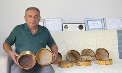 Arıcı Şahin: Kaliteli balın sırrı şekersiz ve doğal üretimde